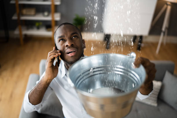 Best Basement water damage restoration  in Mccla, AL