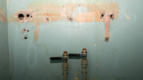 Best Flood restoration services  in Mccla, AL